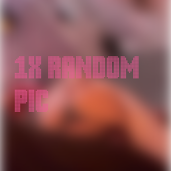 1x PIC